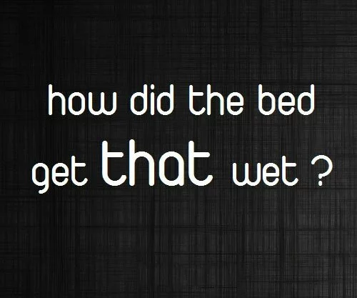 dirty-quotes-how-did-the-bed-get-that-wet