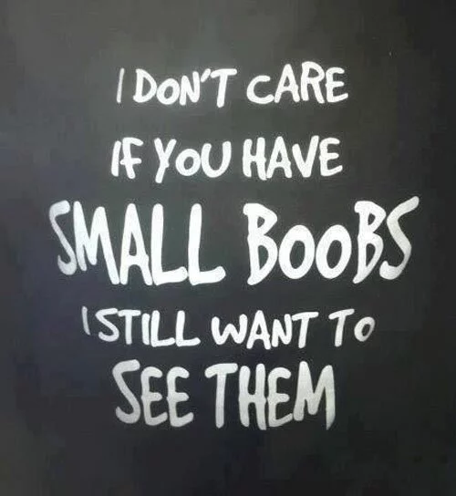 funny-naughty-quote-i-dont-care-if-you-have-small-boobs