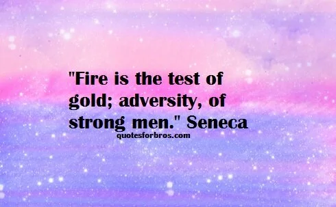 fire-test-strength-quotes