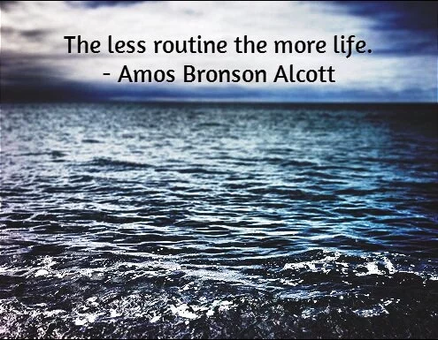 less-routine-quotes-to-live-by