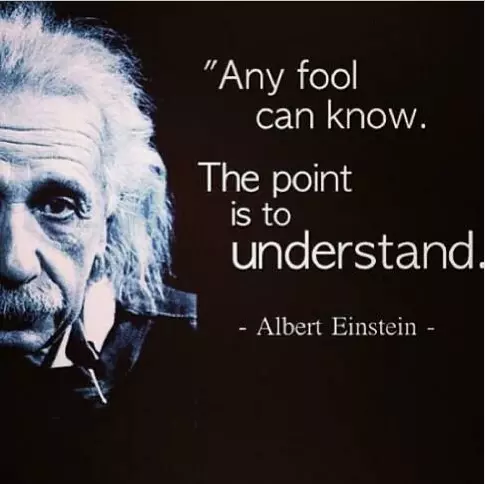 understand-fool-Einstein-Quotes