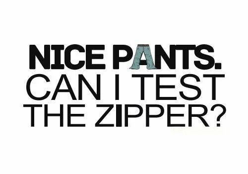 funny-naughty-quote-nice-pants-can-i-test-the-zipper