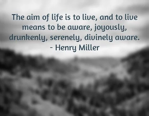 aim-of-life-quotes-to-live-by
