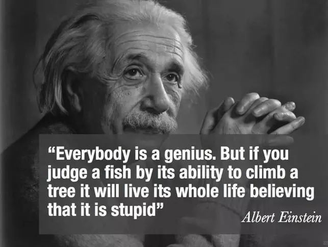 genius-Einstein-Quotes